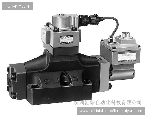 意大利出线压力山大，意大利压力机品牌